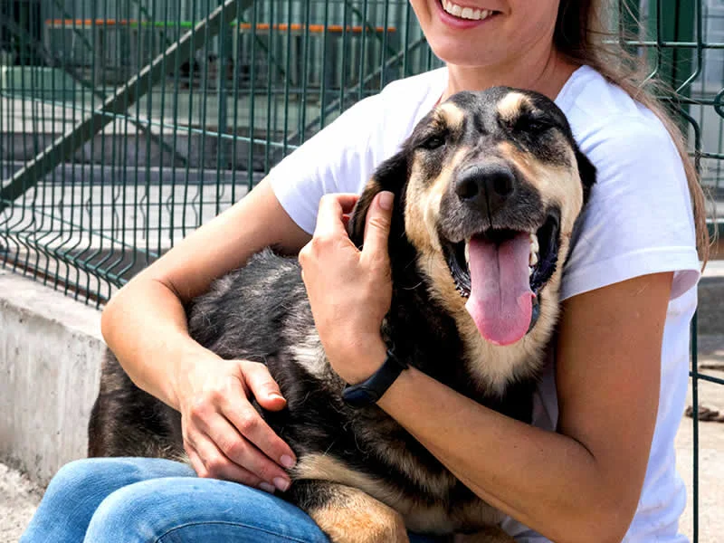 Alain Dubois entrenador canino en CDMX y Estado de Mexico