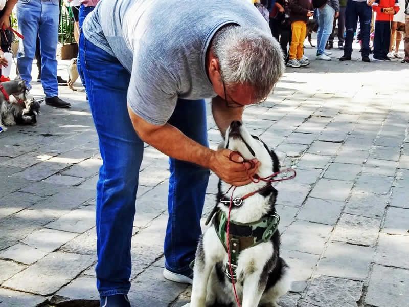 Alain Dubois entrenador canino en CDMX y Estado de Mexico